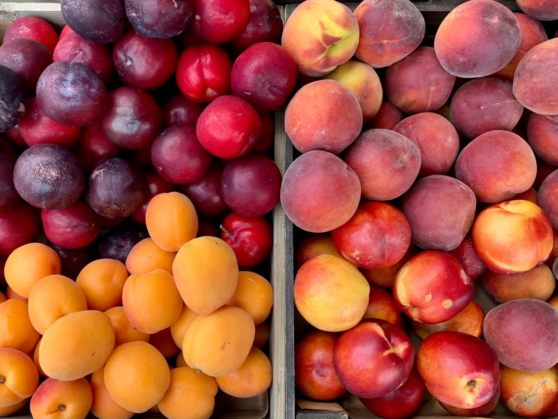 Desserts aux fruits d’été : pêches, abricots, prunes et nectarines pour profiter des derniers beaux jours + 3 idées de recettes par fruit (au moins)